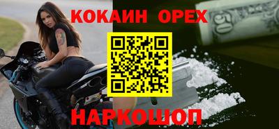 гашик Камышлов