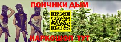 гашик Камышлов