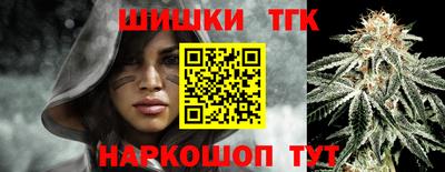 гашик Камышлов