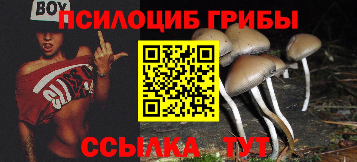 Галлюциногенные грибы GOLDEN TEACHER  Псилоцибиновые грибы Psilocybe  Вход с VPN  Кстово 